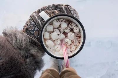 Rockies Hot Chocolate Hike: A Cozy Winter Escape