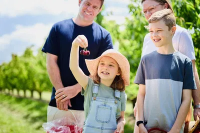 Puffing Billy & Cherry Picking: Yarra Valley Day Trip