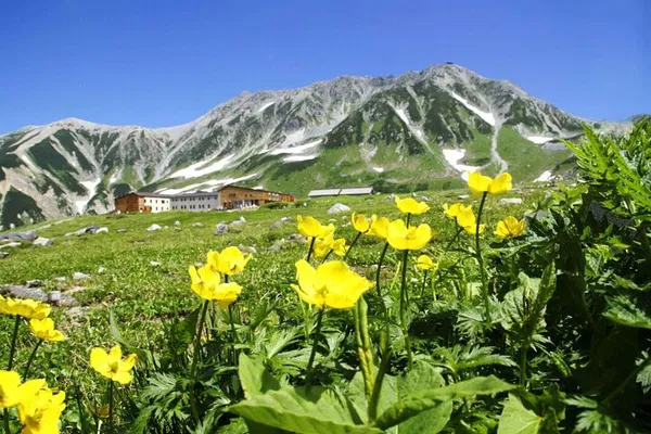 Tateyama-Kurobe Day Trip: Walk the 'Roof of Japan'