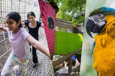Jungle Island: Wild Adventures Await in Miami!
