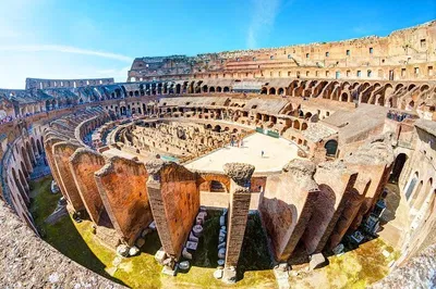 Colosseum, Roman Forum & Palatine Hill: Exclusive Tour