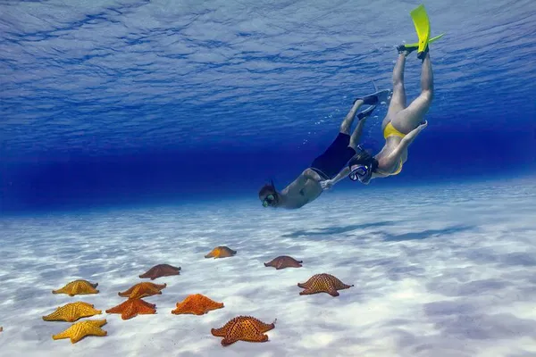 Cozumel: El Cielo Snorkel Boat Tour + Beach Club