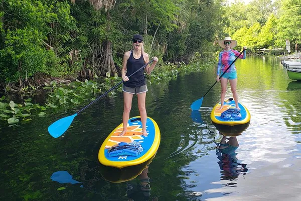 Glide & Flow: Yoga on Florida's Crystal Springs Paddleboard Tour