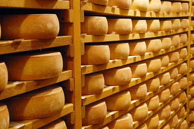 Alpine Adventure: Cheesemaking, Monasteries & Mount Titlis Private Tour