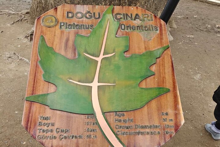 Experience Image img3