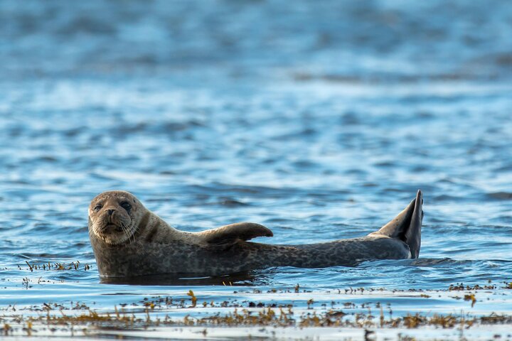 Experience Image img1