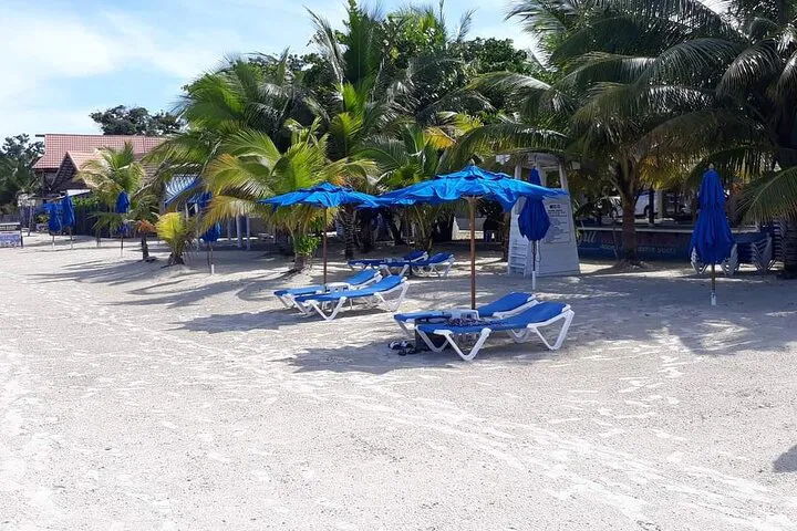 img0
