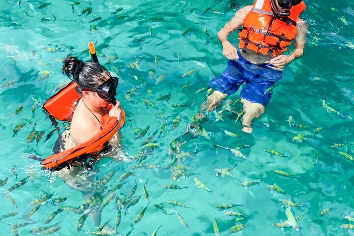 Experience Image img4