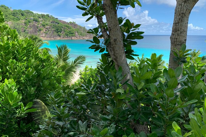 Discover Mahé's Hidden Gems: An Immersive Island Tour Experience