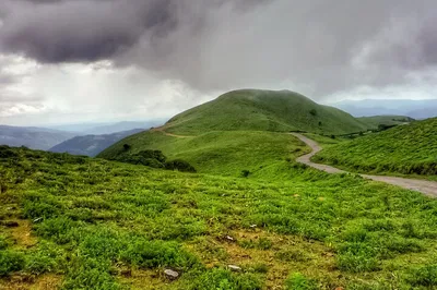 Coorg: India's Scotland - Bangalore Tour (All-Inclusive)