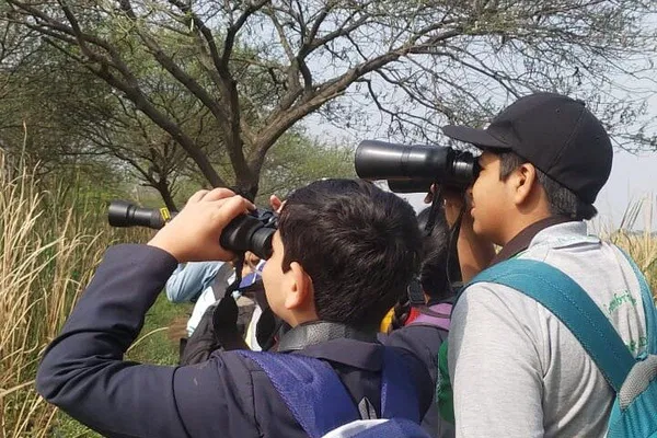 Uncover Nashik's Avian Wonders: Bird Watching at Nandur Madhyameshwar!