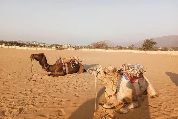 img0