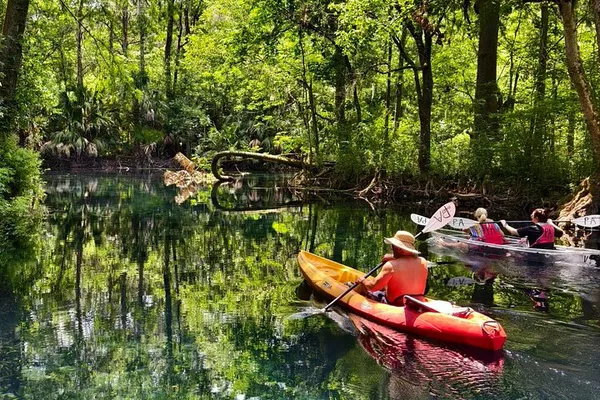 Silver Springs: Small Group Nature Tour from Orlando