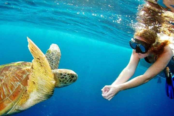 Discover Thailand's Underwater Paradise: Surin Islands Snorkeling Adventure