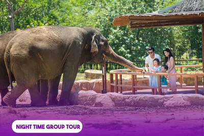 Da Nang River Safari & Beach Dinner: Hoi An Night Tour