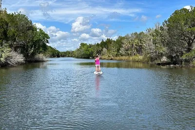 Glide Through Crystal River: Electric Paddleboard Adventure!
