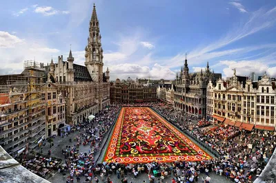 Hague to Brussels: Private, Luxury Transfer