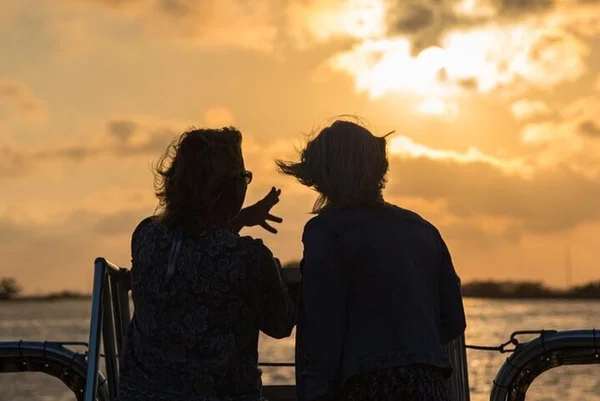 Savannah's Sunset Spectacle: Dolphin Eco-Adventure