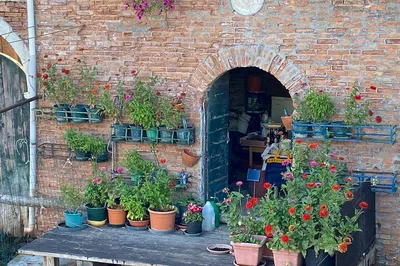 Unveiling Secret Venice: Authentic Walking Tour
