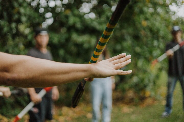 Experience Image img4