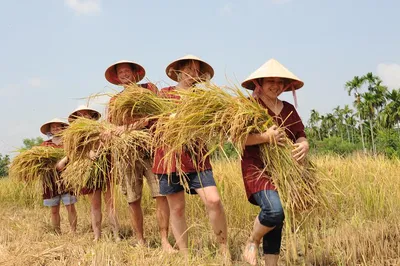 Discover Hoi An: A Cultural Immersion with Tra Que Village