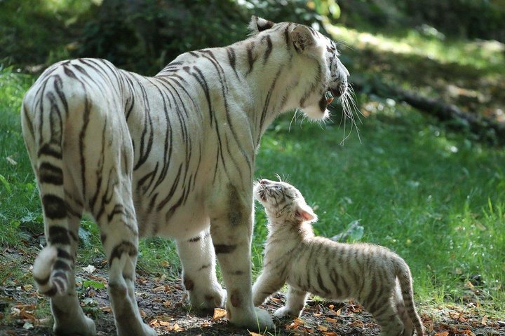 Experience Image img4