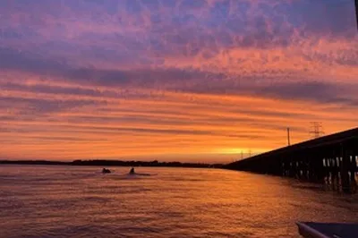 Sunset Spectacle: Private Dolphin Encounter in Hilton Head