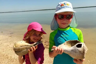 Naples' Coastal Gems: Dolphin, Birding & Shelling Adventure!