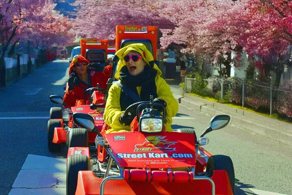 Shibuya Go-Kart Tour: Race Through Tokyo's Hotspots!