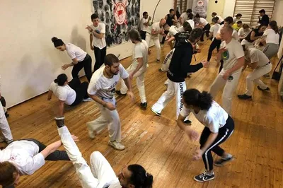 Unleash Your Inner Warrior: Capoeira Workshop with Roman Views!