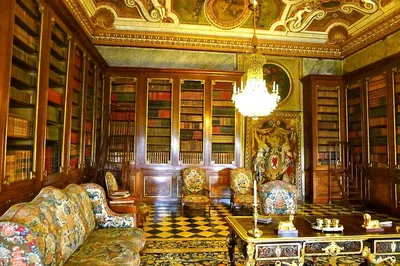 Image 3