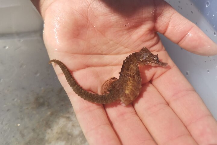 Experience Image img3