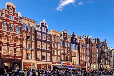 Amsterdam Private City Tour by Car