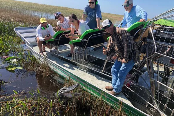 Miami Everglades Airboat Ride: See Alligators!