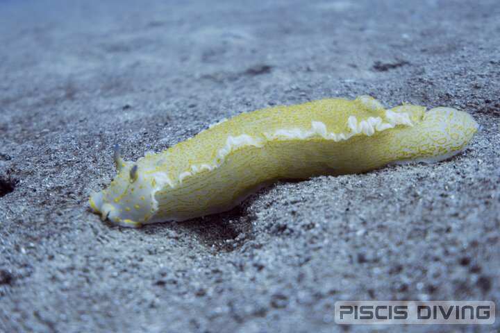 Experience Image img3