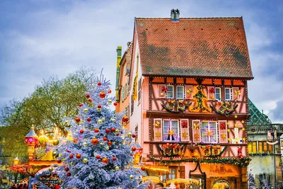 Enchanting Alsace: Christmas Markets Day Tour from Strasbourg