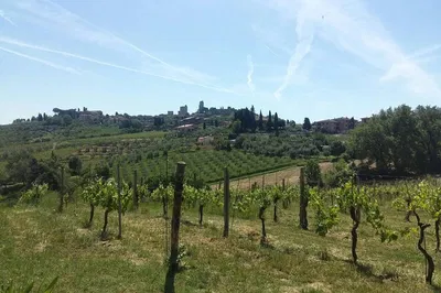 Tuscan Delights: San Gimignano, Saffron, and Vernaccia Wine Adventure from Florence