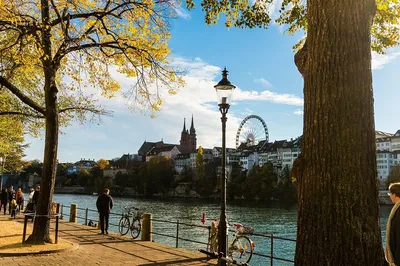 Stress-Free Colmar to Basel Transfers: Your Door-to-Door Private Ride