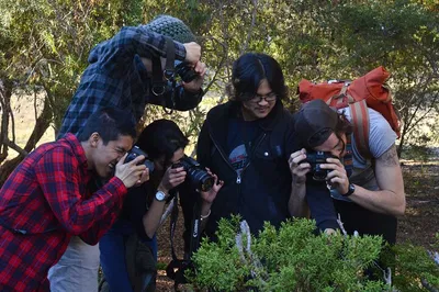 Unleash Your Inner Pro: San Francisco Art Photography Class!