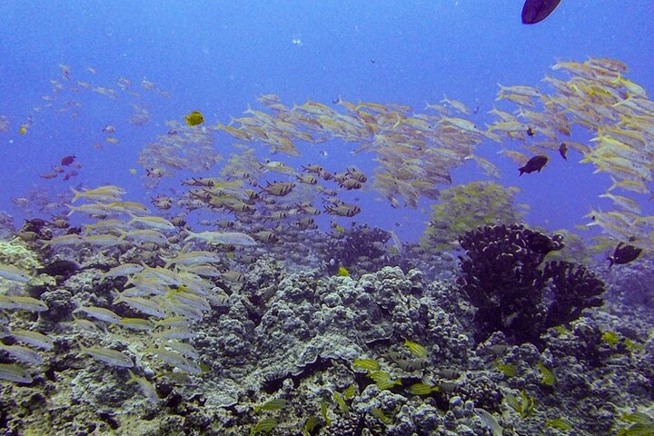 Experience Image img1