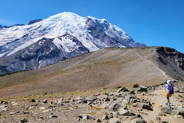 Conquer Mount Rainier: Guided Hike Through Alpine Tundra & Wildflower Meadows