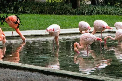 Secret Milan: Exclusive Hidden Gems Walking Tour