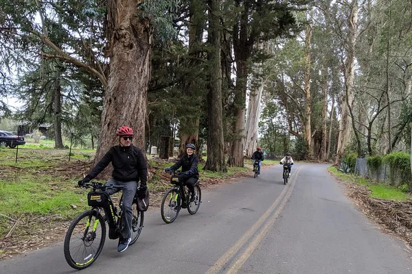 Sonoma's Sights: Pedal & Picnic Through Wine Country!