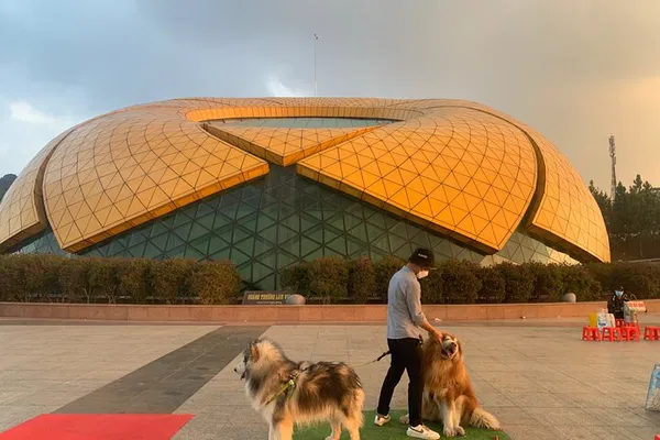 Discover Dalat's Charm: A Full-Day Adventure from Nha Trang