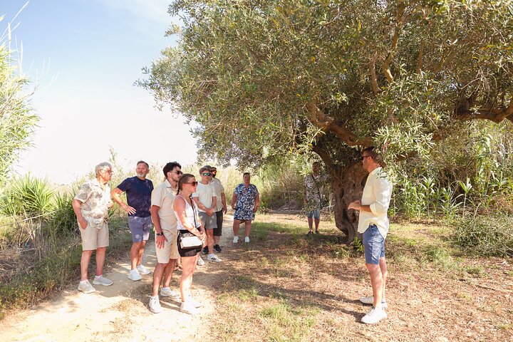 Experience Image img4