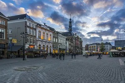 Luxury Airport Transfer: Amsterdam Schiphol to 's-Hertogenbosch