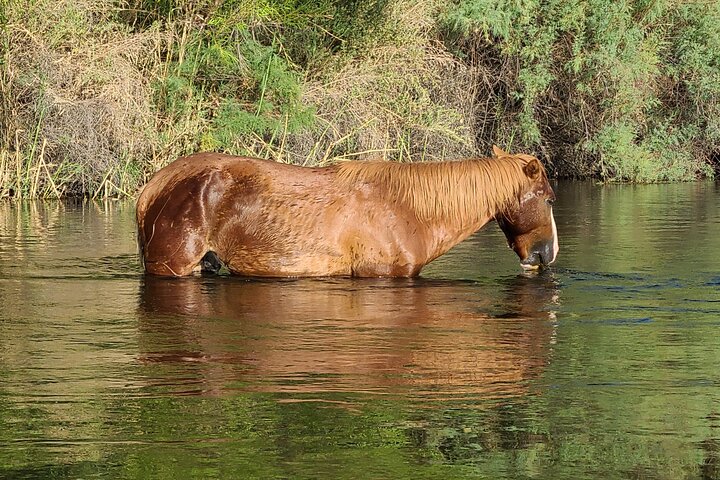 Experience Image img3