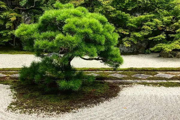 Unlock Kyoto's Secrets: A Private Zen Garden Journey