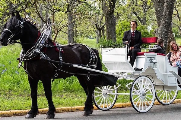 Central Park Horse Carriage Ride: NYC's Best Views!