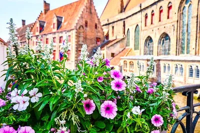 Bruges Shore Excursion: Canals, History & Belgian Delights!
